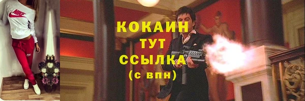 прущий лед Алзамай