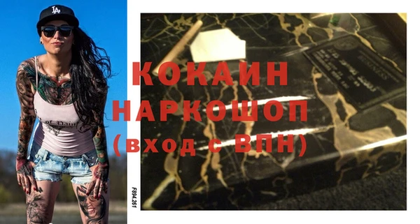 ешки Алексин